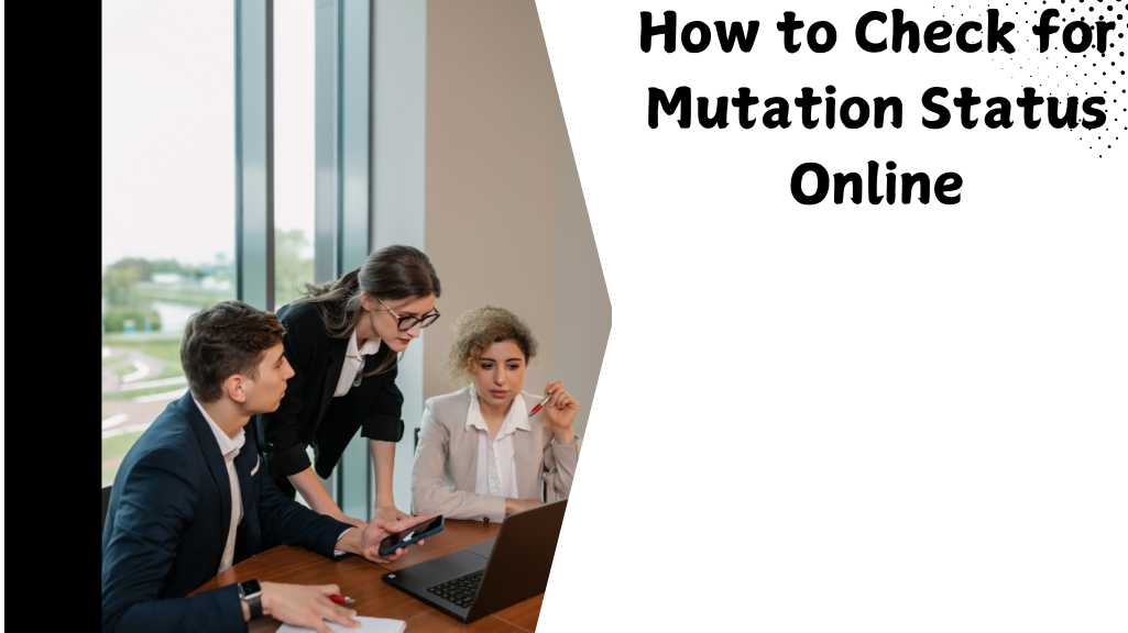 Online Mutation Status Check in Pakistan