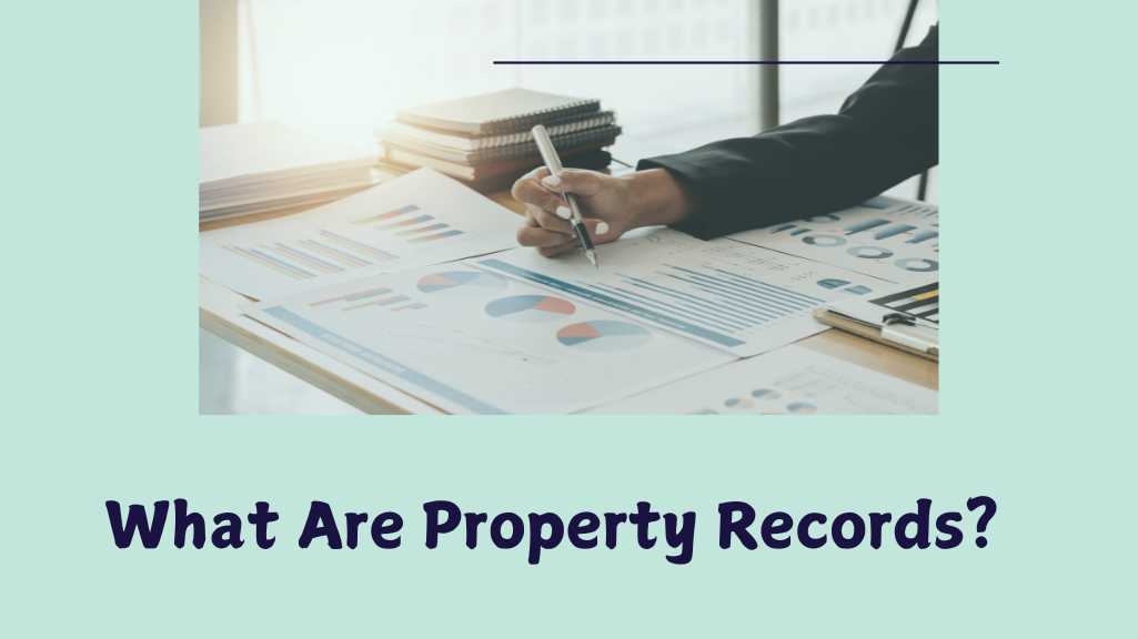 Understanding Property Records