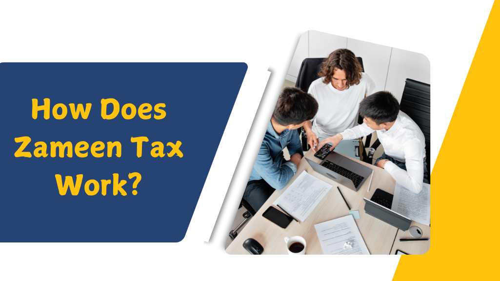 Understanding Zameen Tax